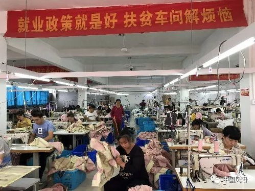 凤阳一年轻人办的这个厂,产品出口美国 德国 意大利.....