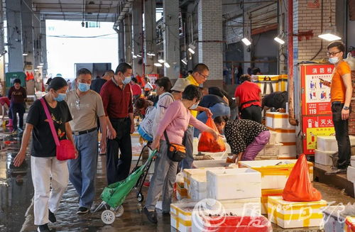 福建首个 厦门即将实施 买卖海鲜注意了