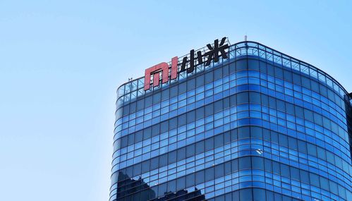 小米集团王嵋 未来得屌丝者得天下,超过苹果后飘了 耗子尾汁