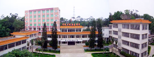 台山新宁中学