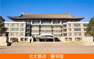 企业在不同发展阶段的经营与管理重点