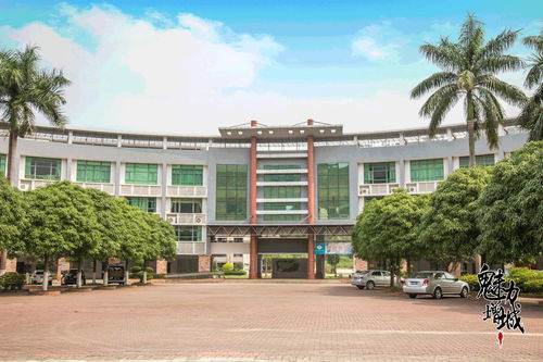 再见，增城电大