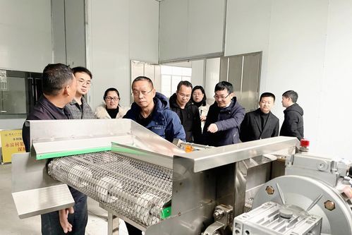 乡村振兴，材料先行——桂林理工大学材料科学与工程学院的使命与担当